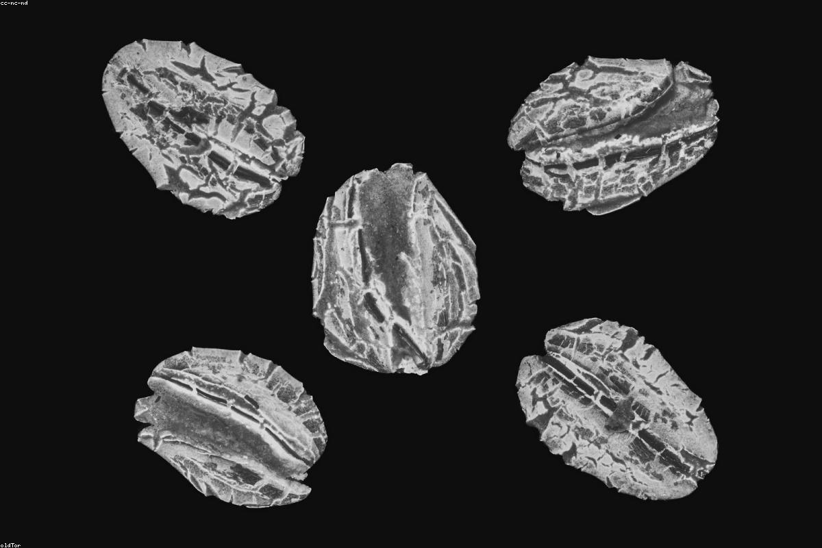 How Sleep, Stress, and Diet Affect Male Hormones