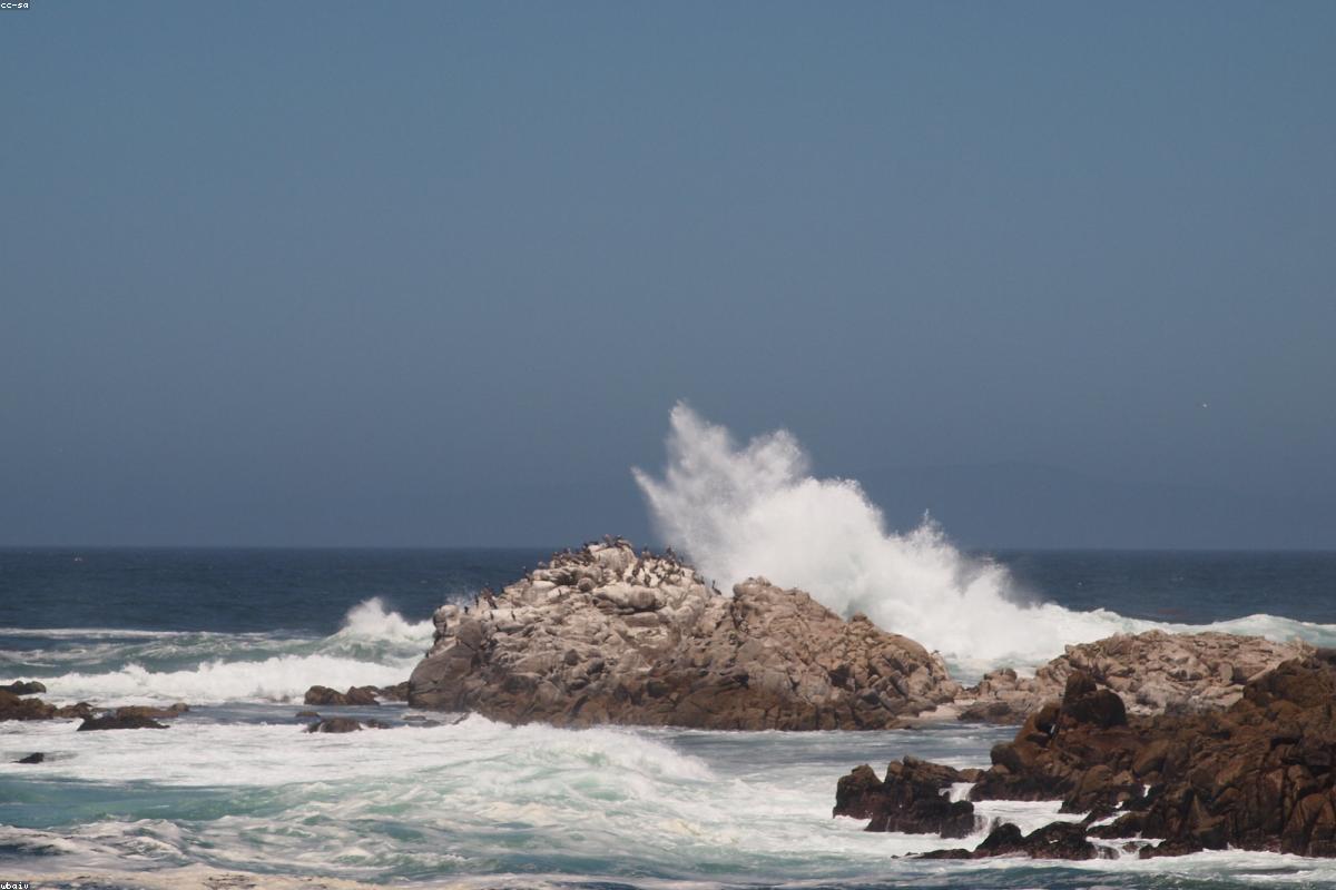 How to Naturally Support Healthy Testosterone Levels