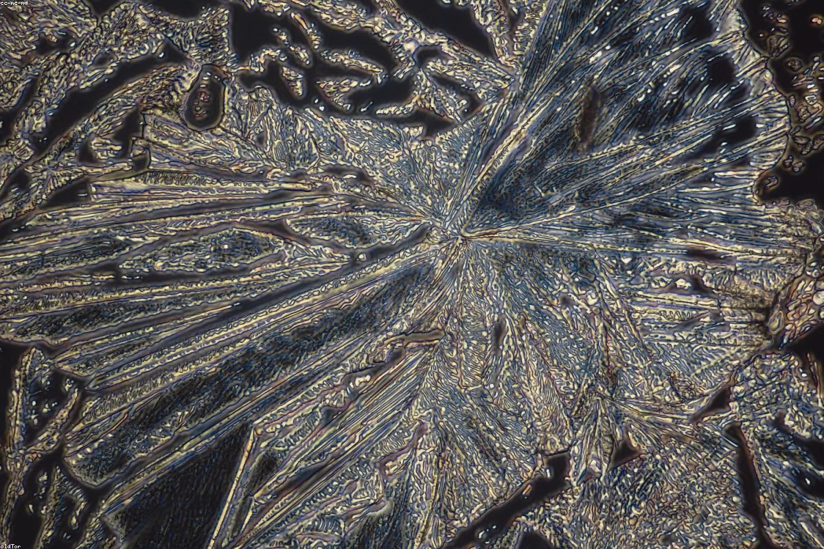 Signs and Symptoms of Low Testosterone in Men