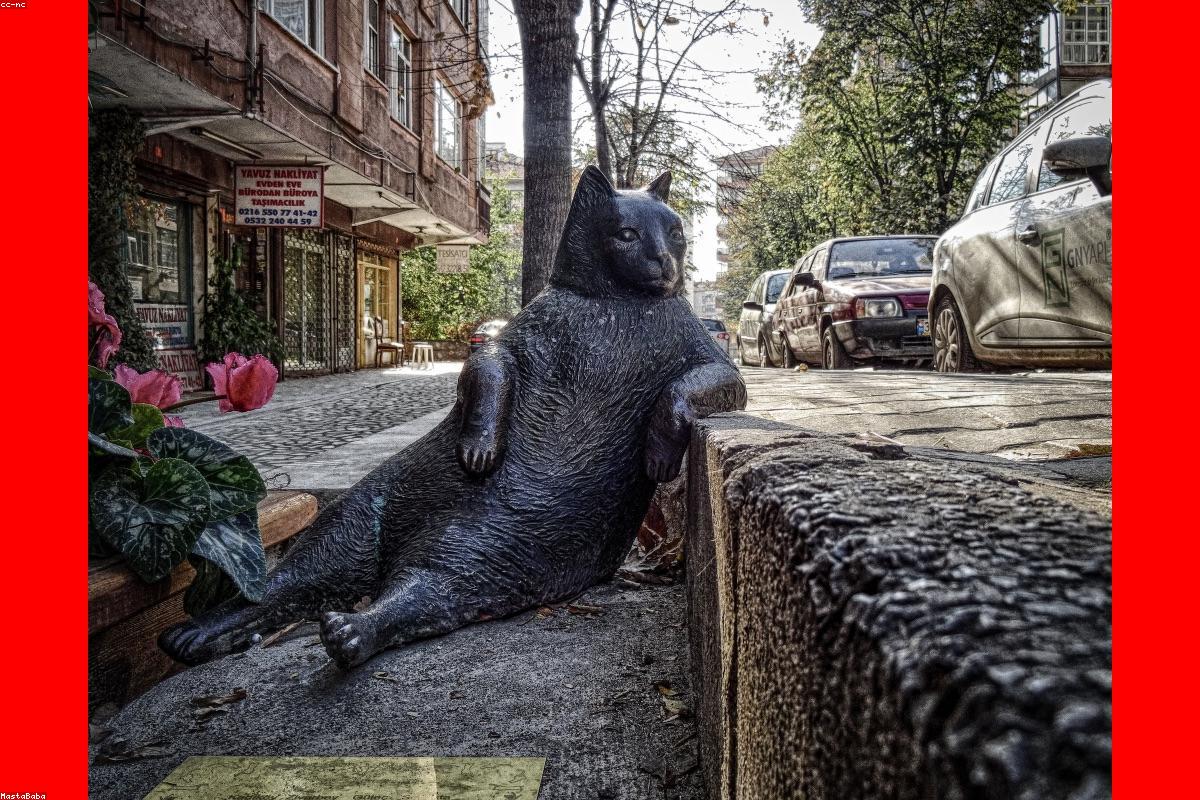 How Hygiene Affects Sexual Health in Men