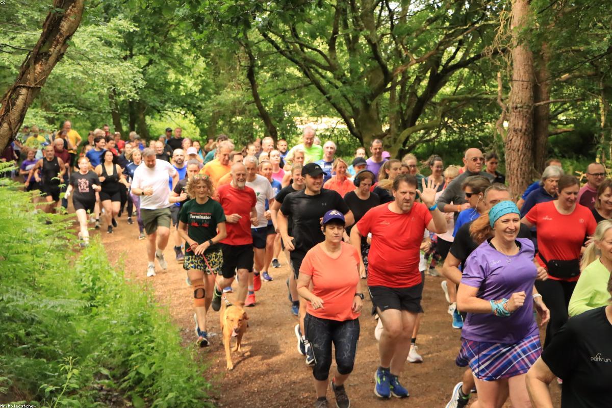 How Medications Affect Male Sexual Function