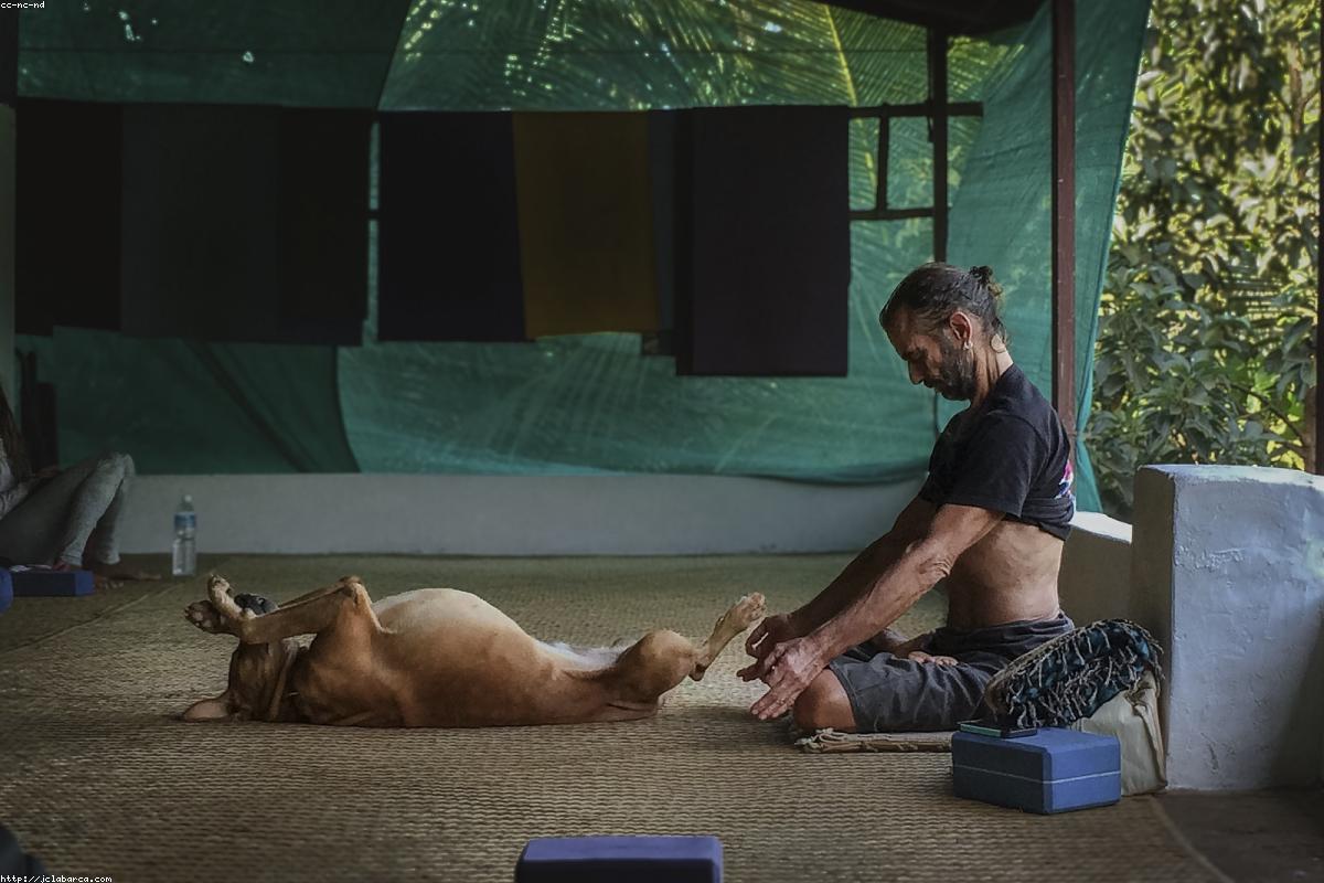 How the Pelvic Floor Affects Erectile Function in Men